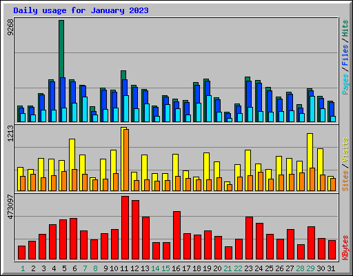 Daily usage for January 2023