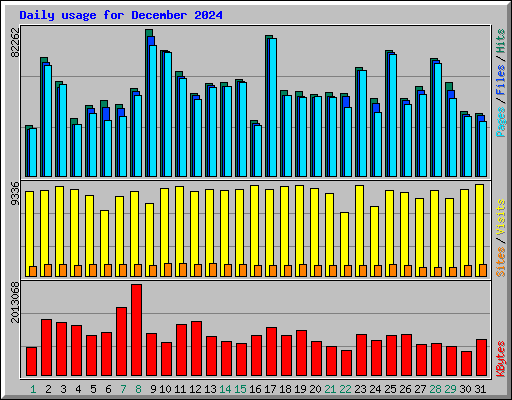 Daily usage for December 2024