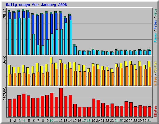 Daily usage for January 2026