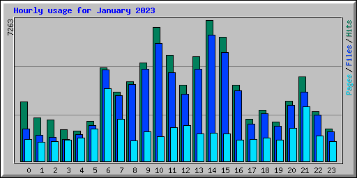 Hourly usage for January 2023