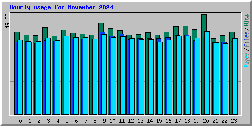 Hourly usage for November 2024