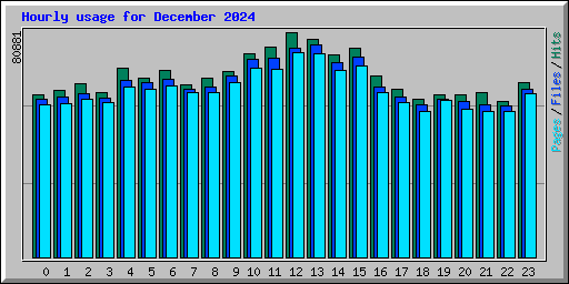 Hourly usage for December 2024