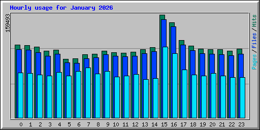 Hourly usage for January 2026