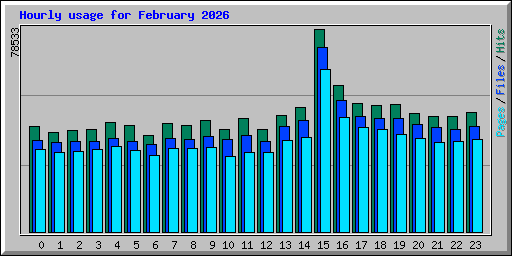 Hourly usage for February 2026
